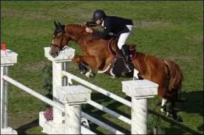 Que fais-tu comme sport ?