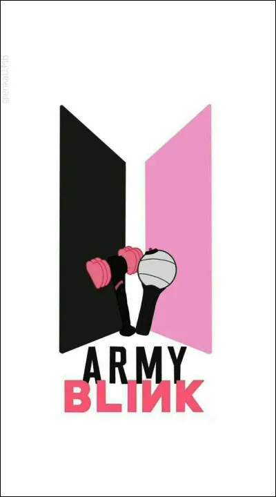 Quel groupe s'est produit à l'ONU ?