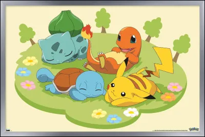 Maintenant : quel est ton type de Pokémon favori ?