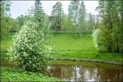 Si quelqu'un se blesse devant toi, que fais-tu ?