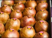 Quiz Le quiz de l'oignon