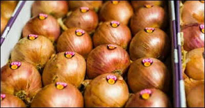 De quelle région est originaire l'oignon de Roscoff ?