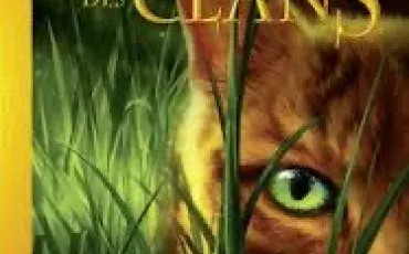 Quiz Test de personnalit