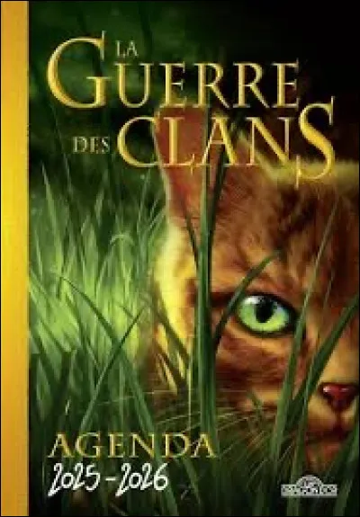 On dit de toi que tu es plutôt