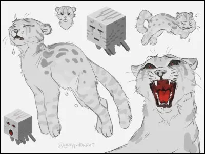 Quel est ce montre ?