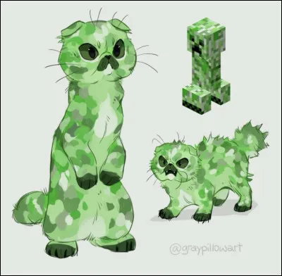 Quel est ce montre ?