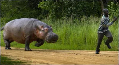 Bateau transportant Dracula dans un film de 2023 !