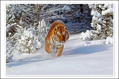 Synonyme de "dégager" (une galerie ou une mine par exemple) !