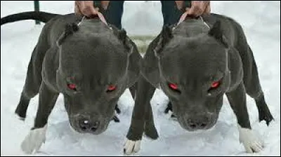 Action de prendre, retenir, réserver pour soi !