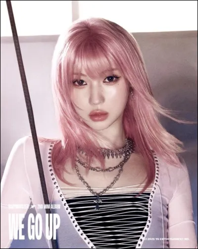 Quel rôle voudrais-tu avoir dans un groupe de K-pop ?