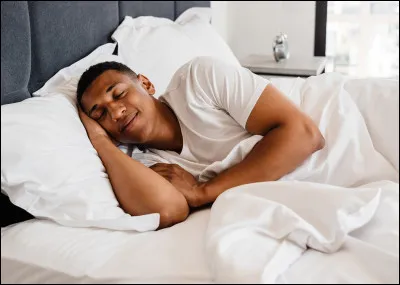 Quel animal dort le plus longtemps par jour ?