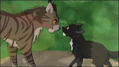 7 : Jai quitté mon clan pour me protéger de mon mentor mais jai rencontré un chat errant qui ma accueilli.