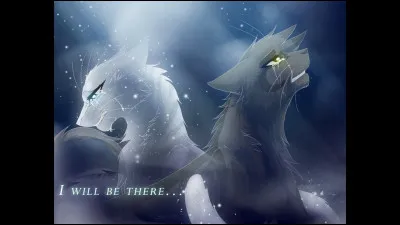 4 : Je suis un vieux chat qui a eu deux compagnes dont une interdite.