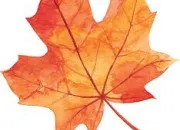 Quiz Un quiz automnal