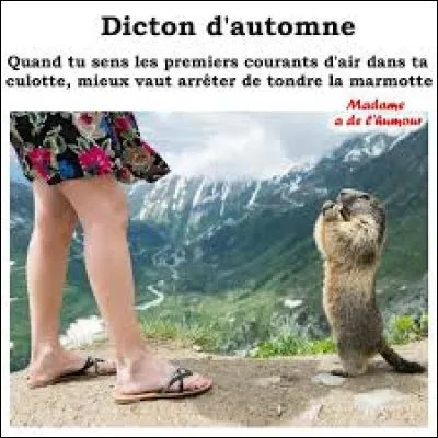 Sachant que l'automne (en 2025) a débuté le 22 septembre, quel sera le dernier jour de cette saison ?