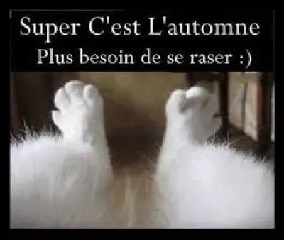 En 1974, quelle chanteuse a interprété le titre ''Quand je serai couleur d'automne'' ?