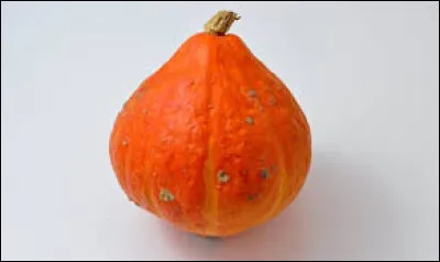 Ce légume d'automne se nomme...