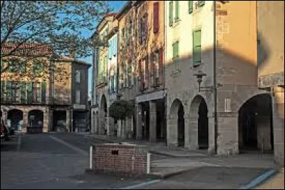 Dans quel département irez vous pour visiter la petite ville de Réalmont traversée par le Dadou ?