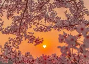 Test Quelle nergie apaises-tu autour de toi ?