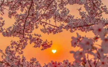 Quiz Test de personnalit