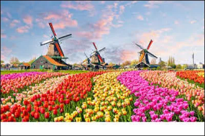 Cliquez sur la bonne réponse :