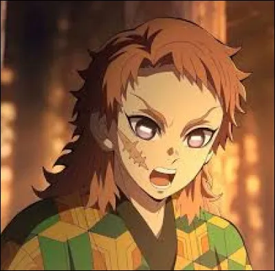 Ce personnage est-il dans Demon Slayer ?