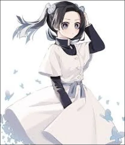 Ce personnage est-il dans Demon Slayer ?