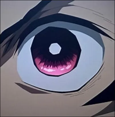 À qui appartient cet il ?