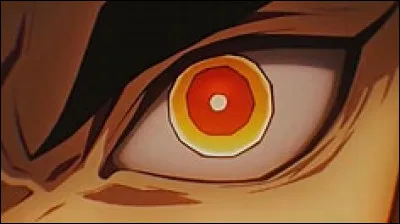 À qui appartient cet il ?