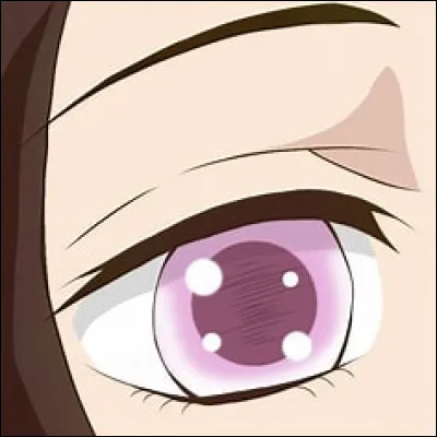 À qui appartient cet il ?