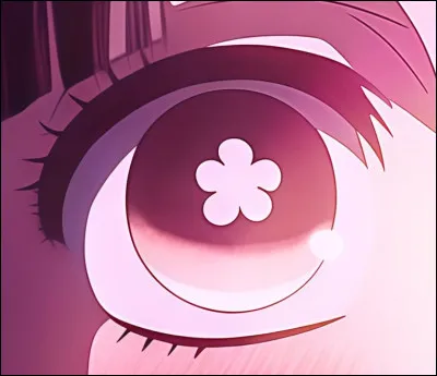 À qui appartient cet il magnifique ?