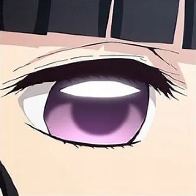 À qui appartient cet il ?