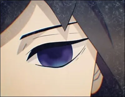 À qui appartient cet il ?