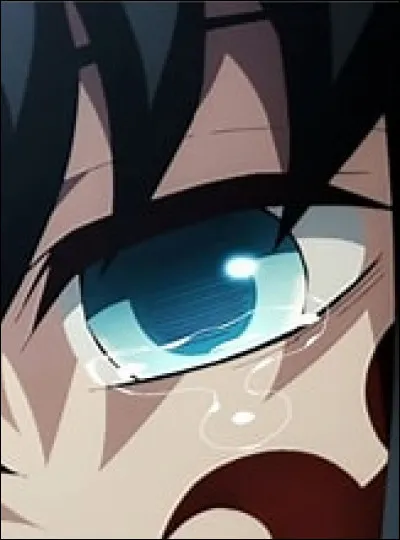 À qui appartient cet il ?