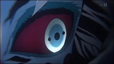 À qui appartient cet il ?