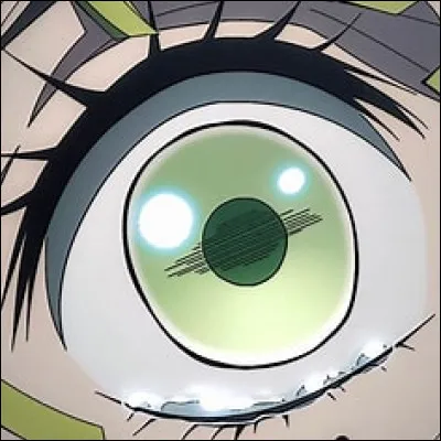 À qui appartient cet il ?