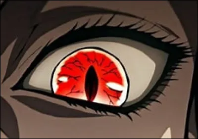 À qui appartient cet il ?