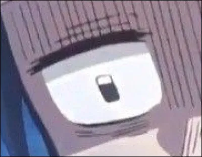 À qui appartient cet il ?