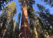 Test Ta vie d'idole de K-pop, test 6 : ton prénom thaïlandais