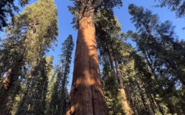 Quiz Test de personnalit