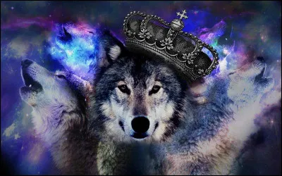 Quel est ton animal préféré ?