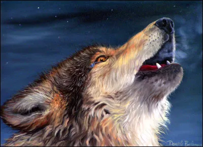 Comment gères-tu tes émotions ?