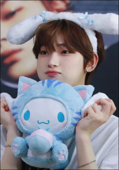 Quel est ton Sanrio préféré ?