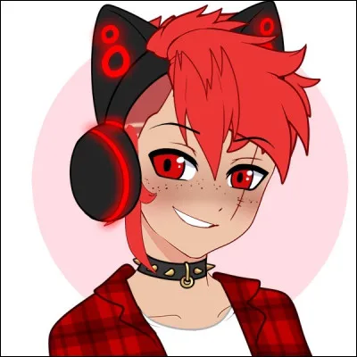 Quel statut voudrais-tu avoir ?