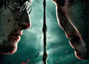 Test Quel est ton camp pendant la bataille de Poudlard ? (Harry Potter)