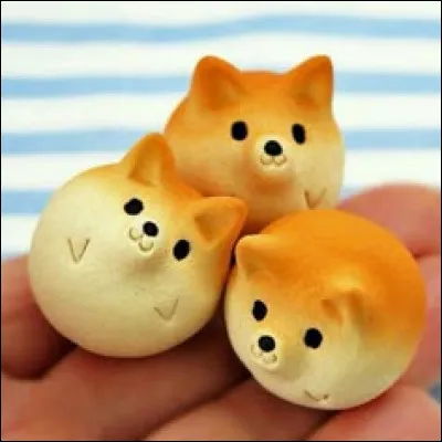 Est-ce que tu préfères les chats ou les chiens ?