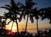 Quiz L'Improbable Quiz des Faits Absurdes