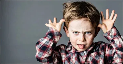 Restons sur la chanson française avec cette artiste passée par la Star Academy. Qui est linterprète du tube "Mauvais Garçon" ?