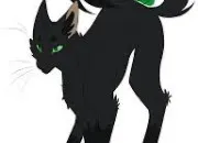 Quiz Connais-tu bien Feuille de Houx ? LGDC