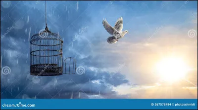 Un autre bon vivant en 2016 déclarait de façon plus grivoise : 
Claque ta langue
Fille de Bacchus
Contre la mienne
Et gloire à Vénus